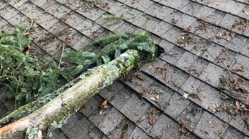 Roof Repair Services